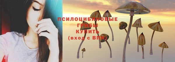 амф Надым