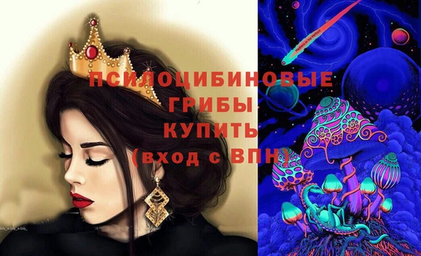 ГАЛЛЮЦИНОГЕННЫЕ ГРИБЫ Навашино