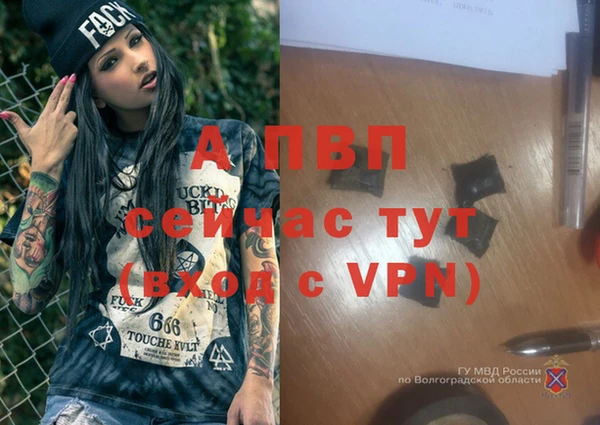 ГАЛЛЮЦИНОГЕННЫЕ ГРИБЫ Навашино
