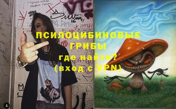 эйфоретик Баксан