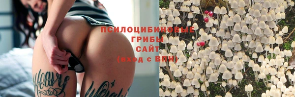 амф Надым