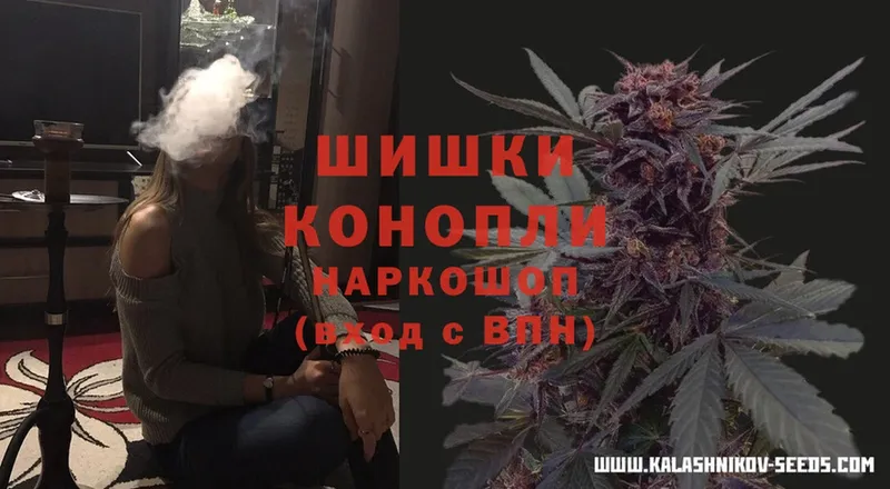 Бошки марихуана OG Kush  Инта 